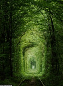 Ukraine's Leafy Green Tunnel of Love is a Passageway for Trains and Lovers