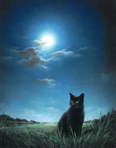 il gatto e la luna