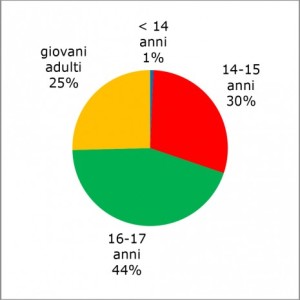 dati-stupro-2014-grafico-torta-465x463