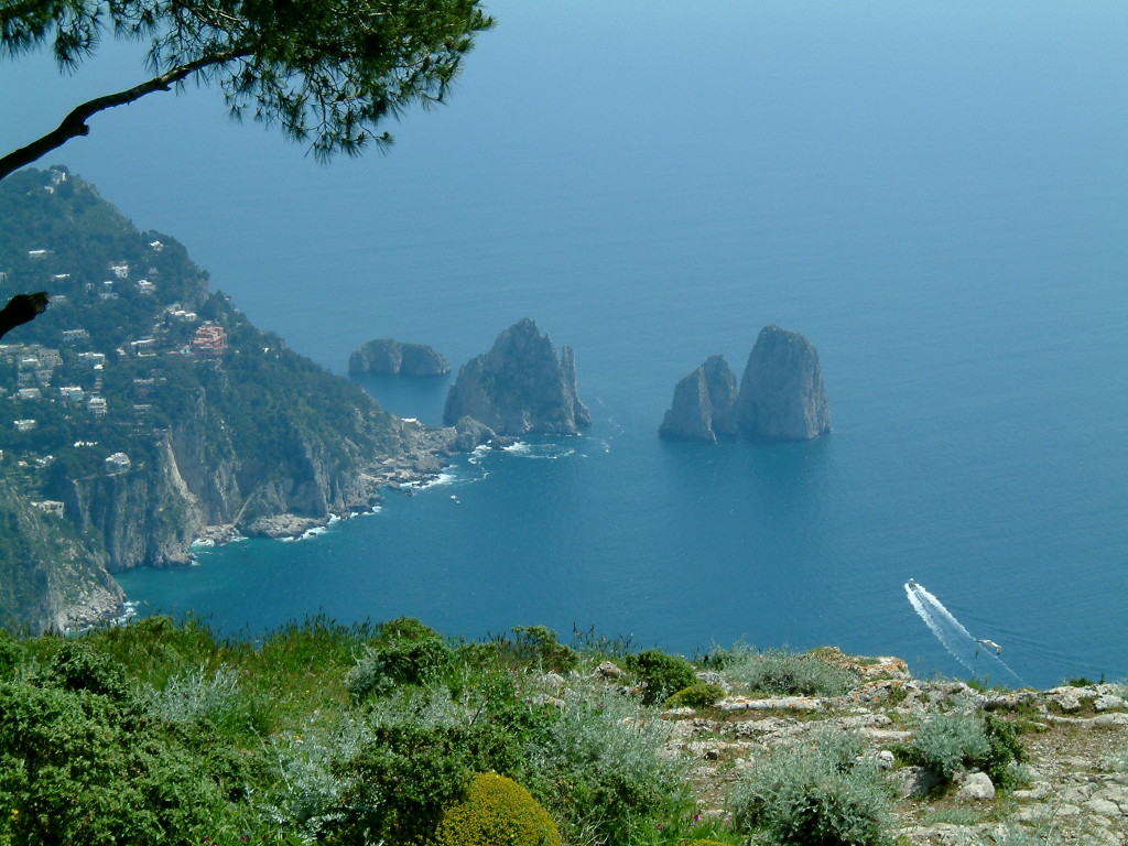 2_CAPRI