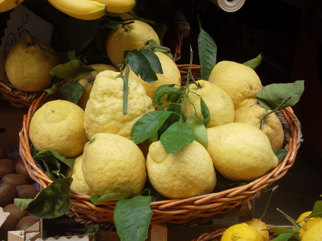 limoni sorrento